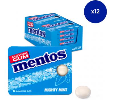 Mentos suikervrije kauwgom - Mighty Mint - 12 blisters