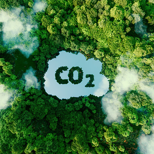 samen op weg naar een groenere planeet