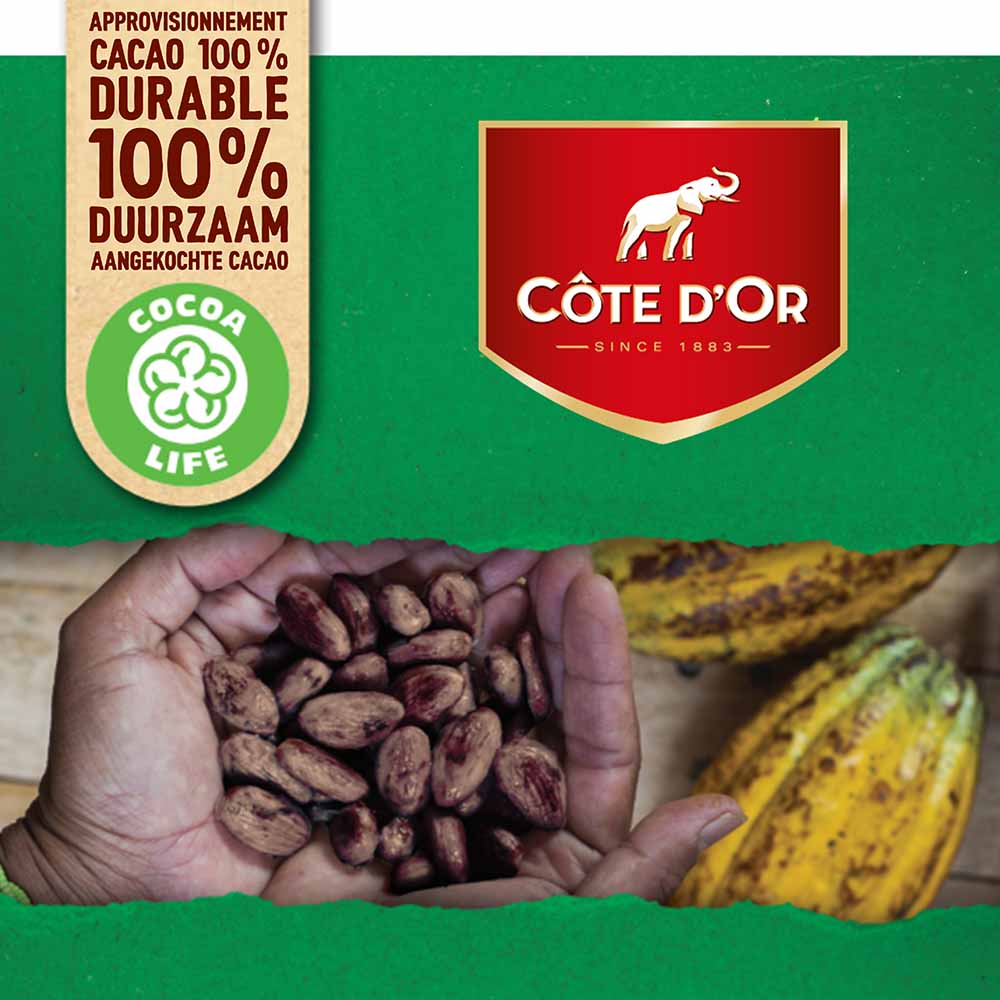 Côte d'Or Chokotoff - toffees met pure chocolade - 3000g 5